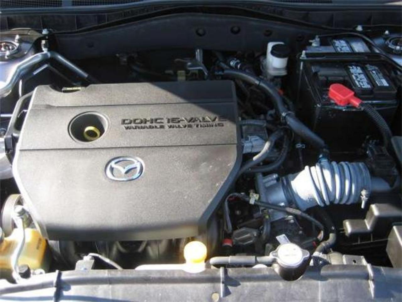 445954