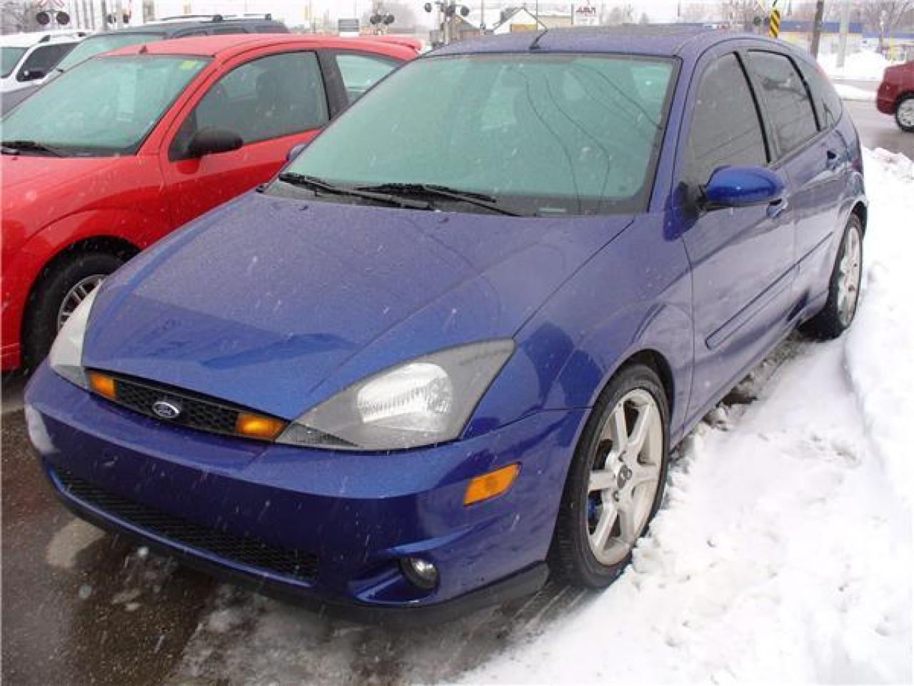 Used 2004 Ford Focus SVT for sale in Windsor, ON
