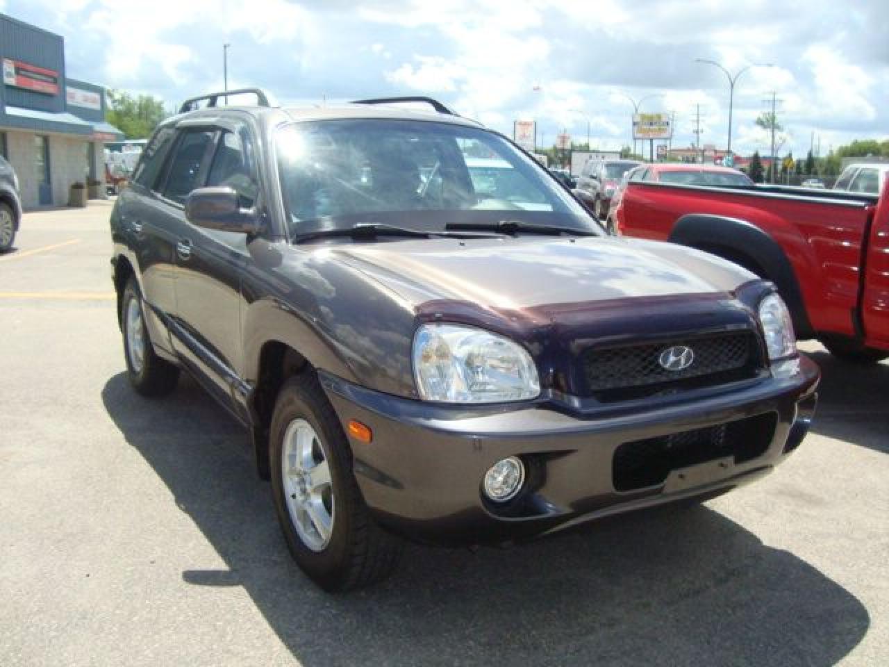 Used 2004 Hyundai Santa Fe GLS for sale in Steinbach, MB