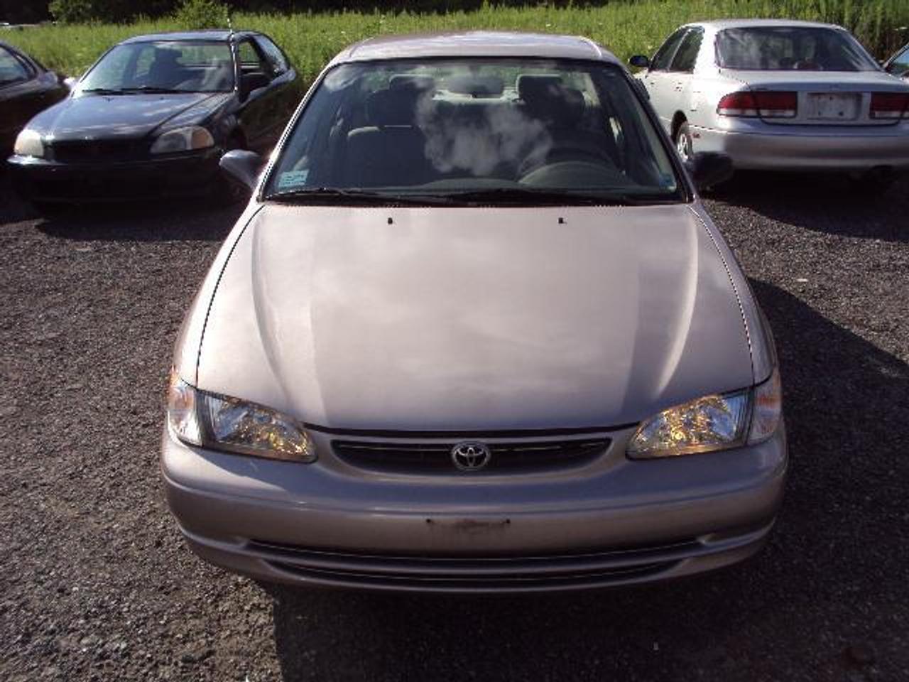 604877.9712434
