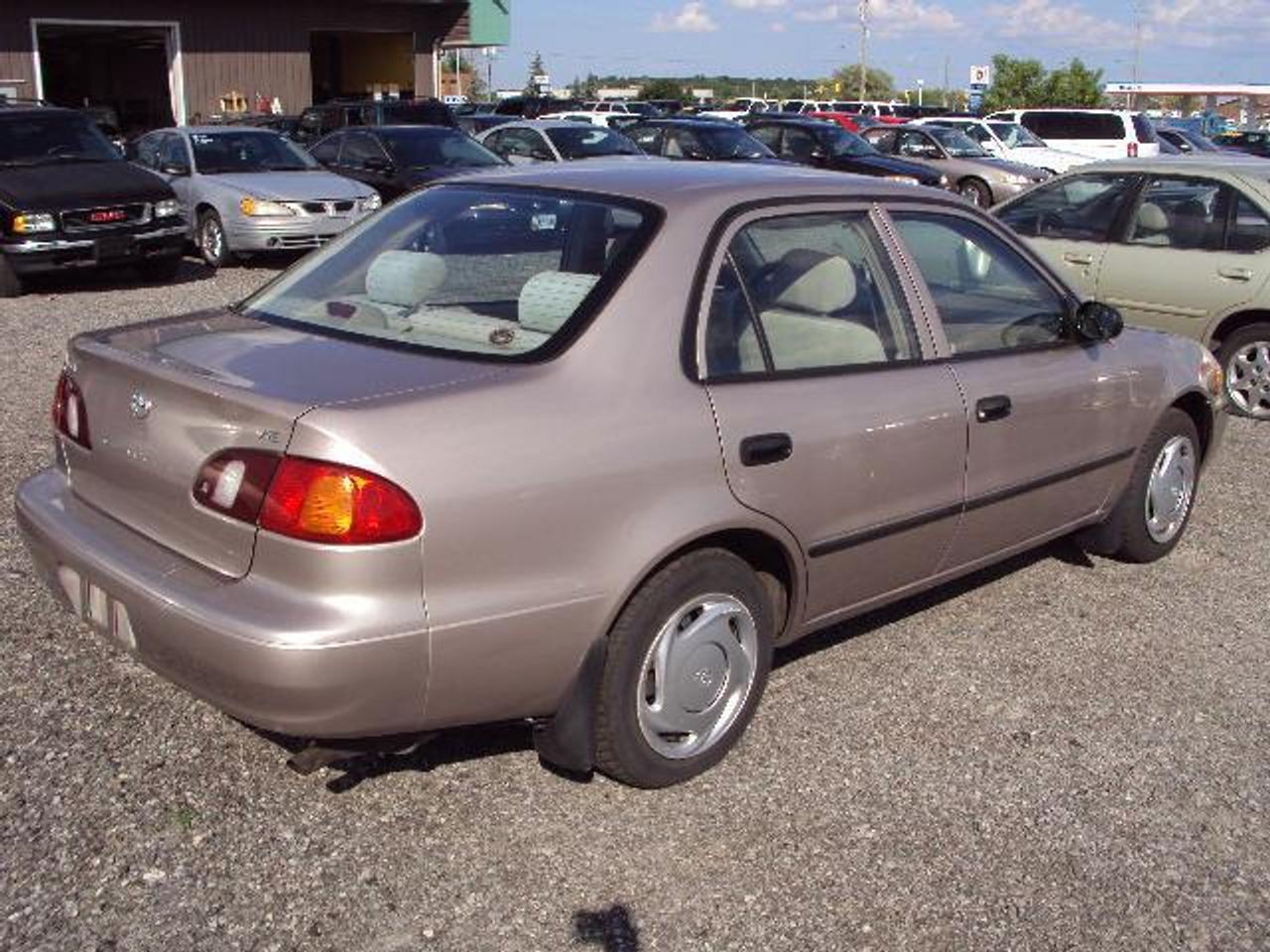 604877.9712436