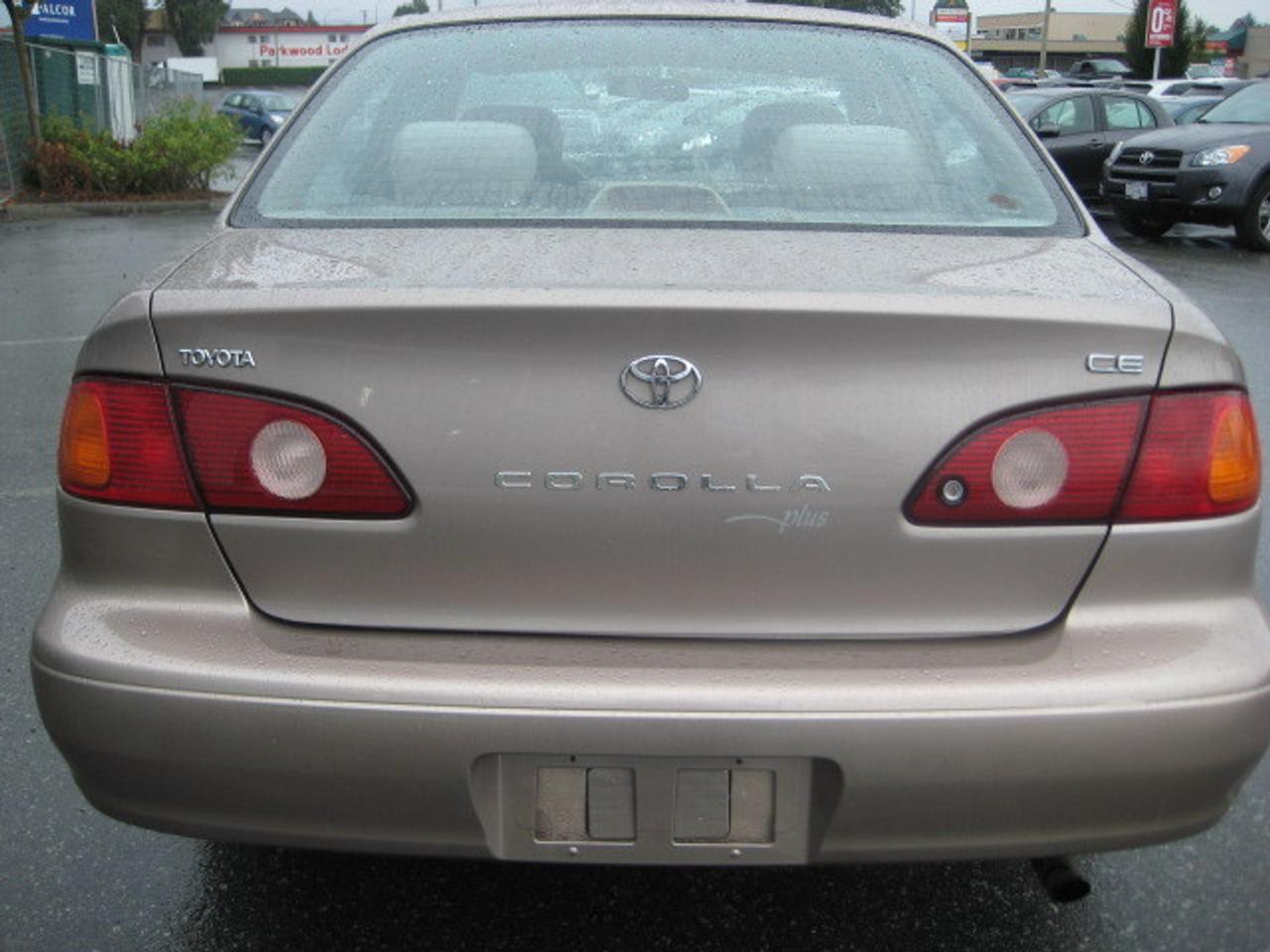 605769.11042236