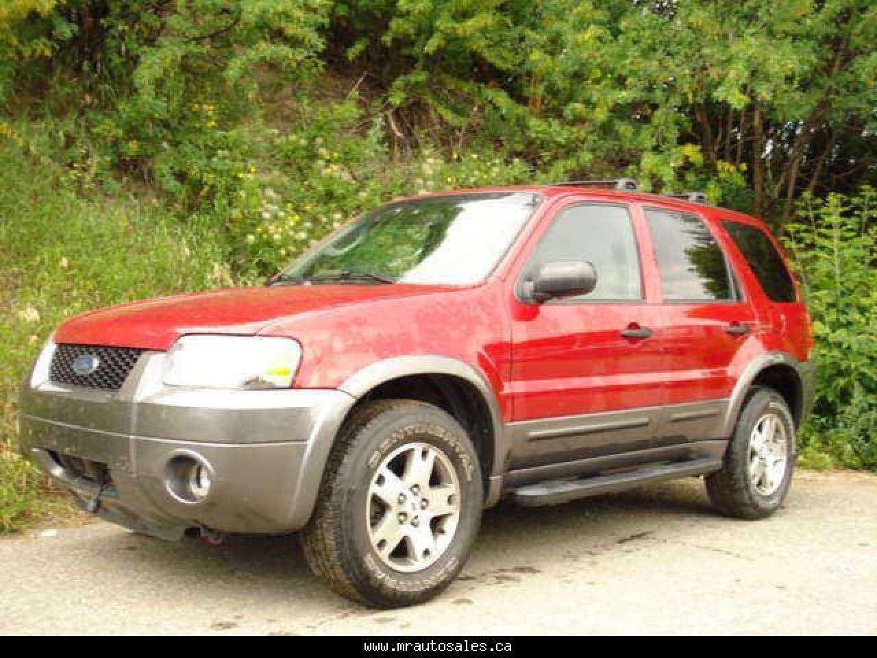 Used 2005 Ford Escape XLT for sale in Calgary, AB