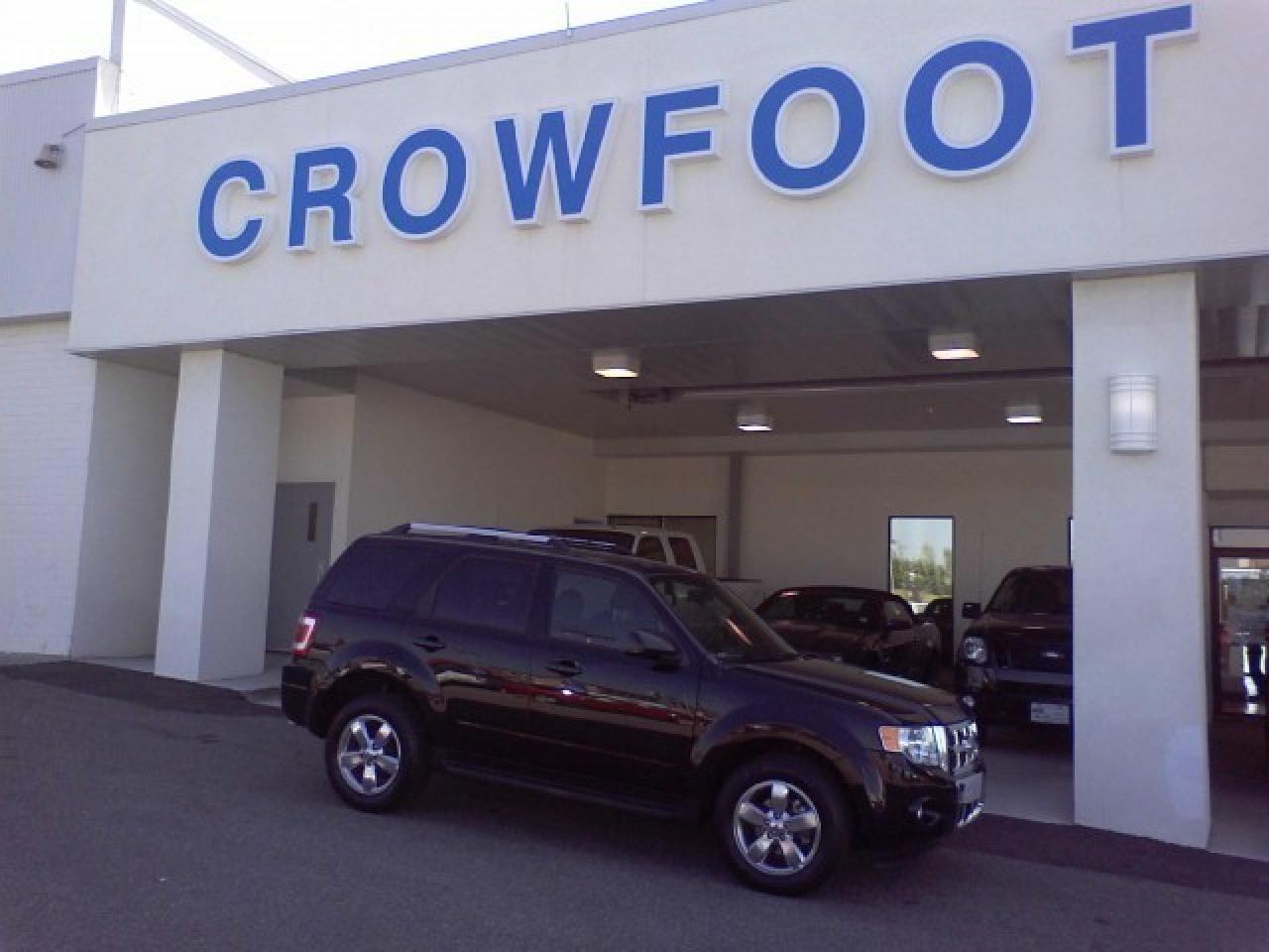 Used 2009 Ford Escape Limited Sport Utility 4D for sale in Calgary, AB
