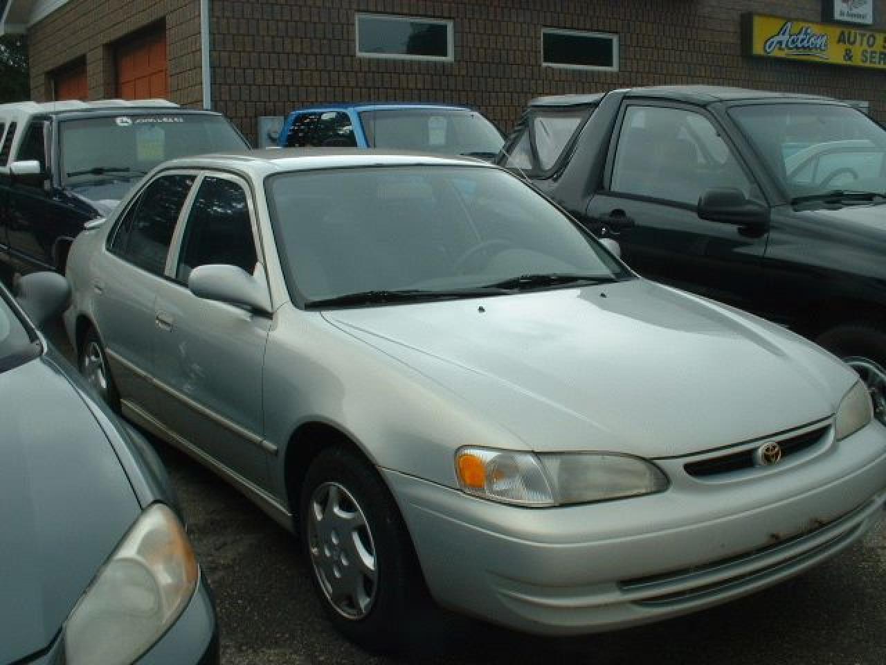 Used 1999 Toyota Corolla  for sale in Paris, ON