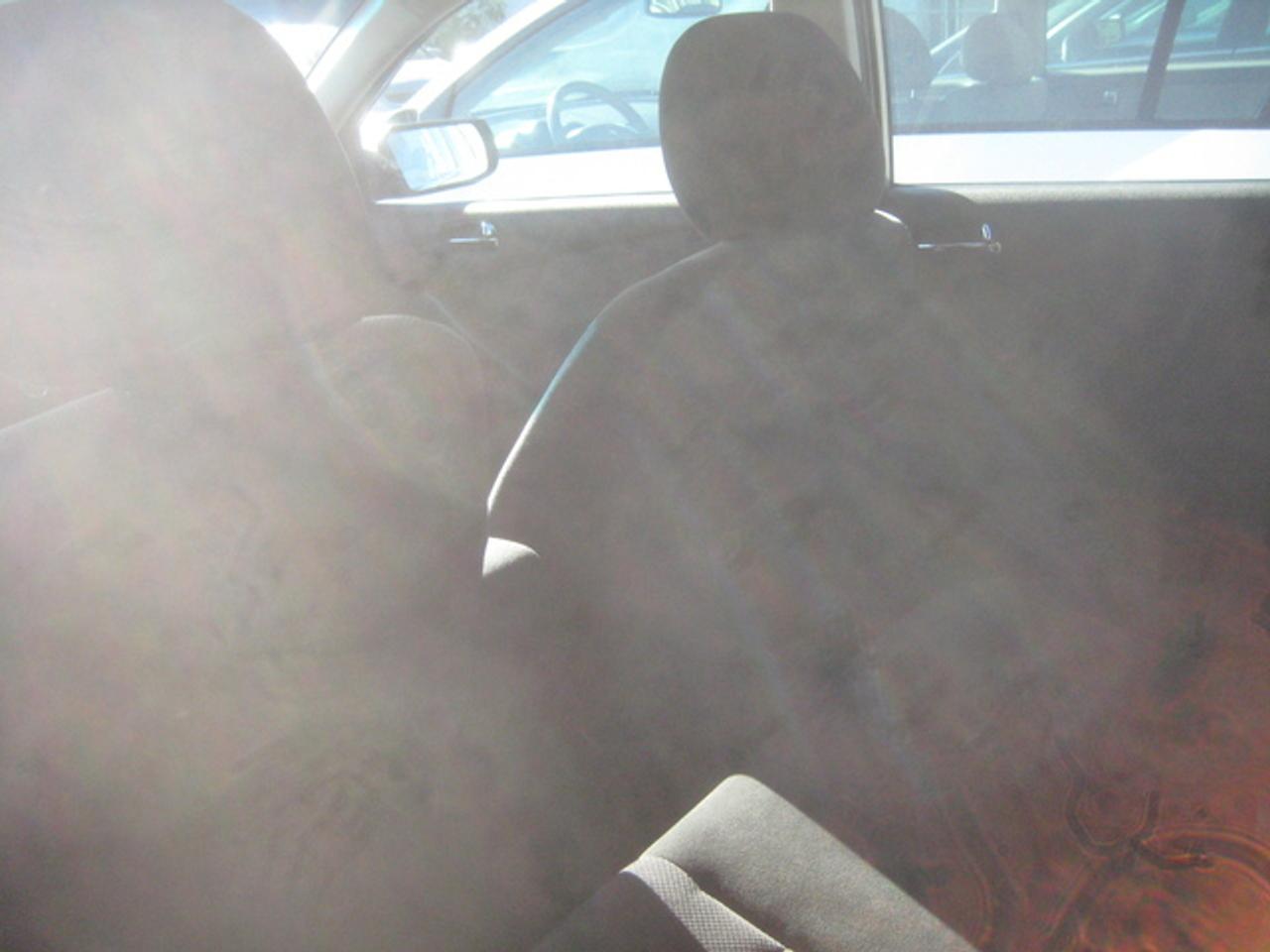 615595.11032831