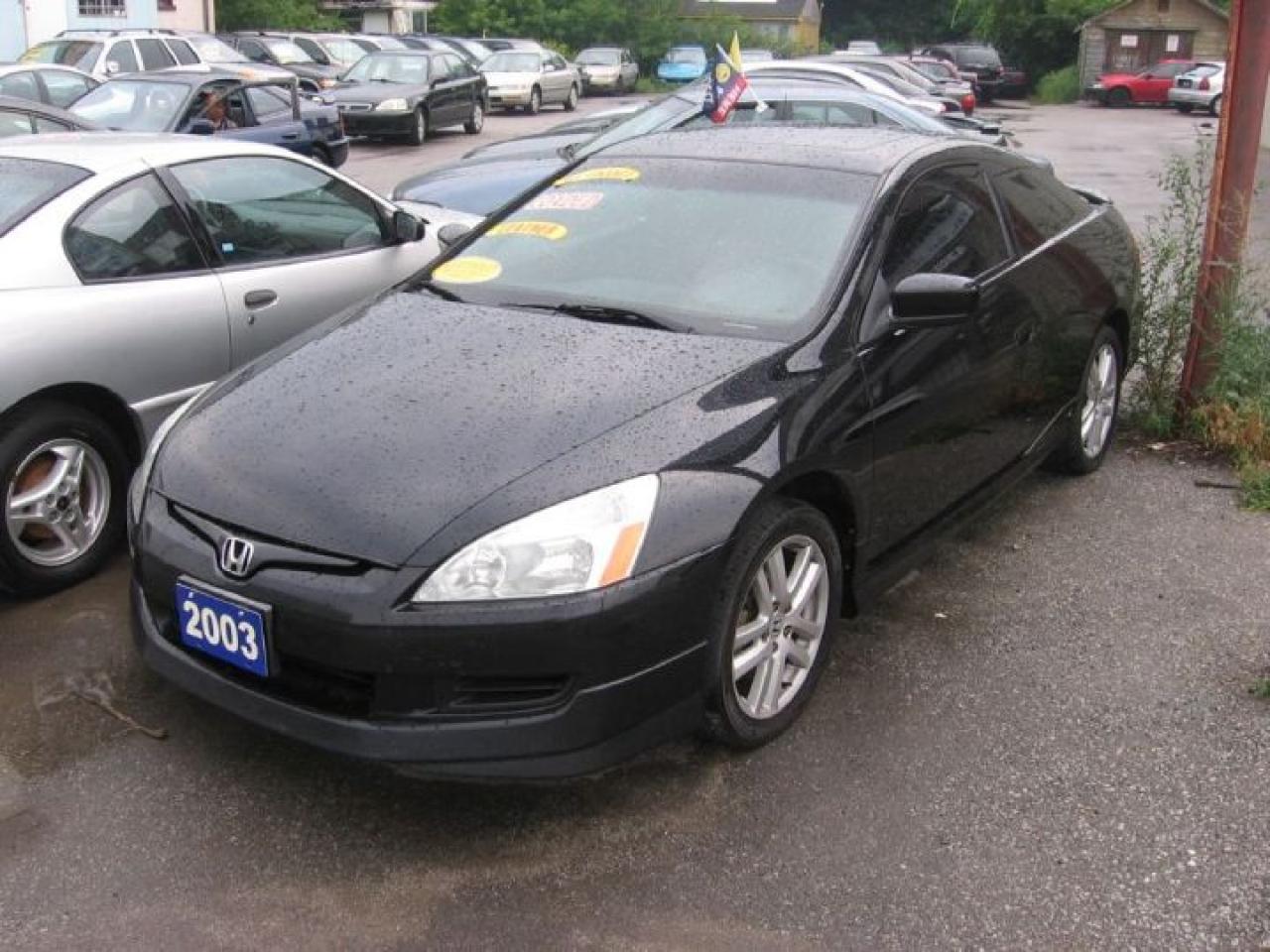 Used 2003 Honda Accord 2003 honda accord v6 5 speed manual trany for sale in Scarborough, ON
