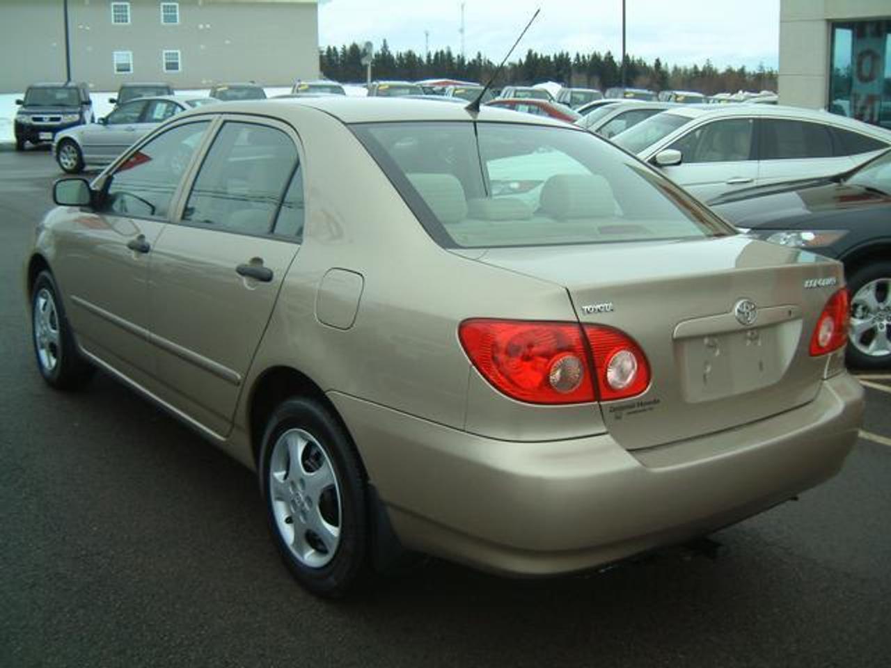 616005.10335779