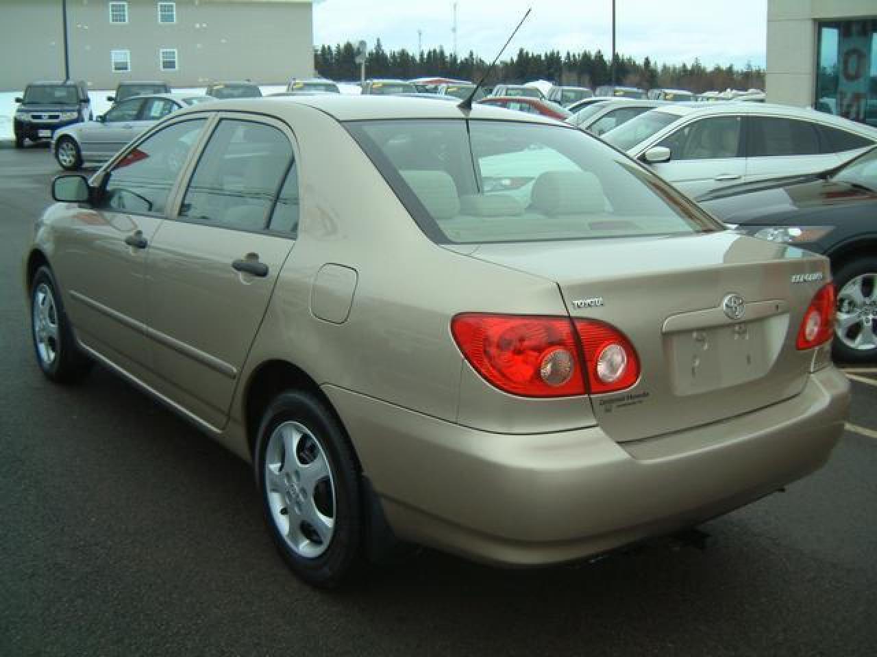 616005