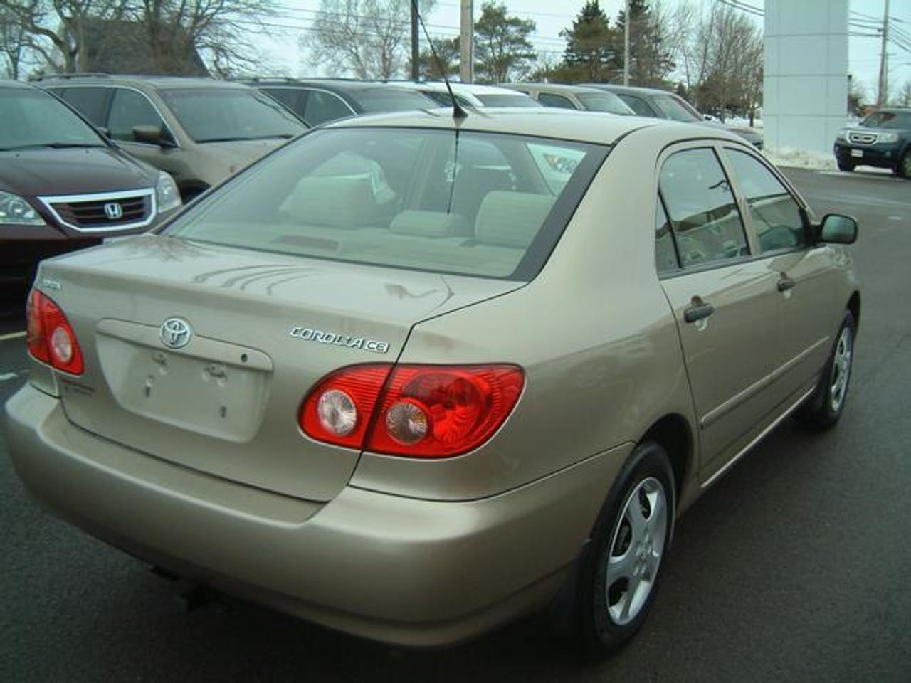 616005.10335782