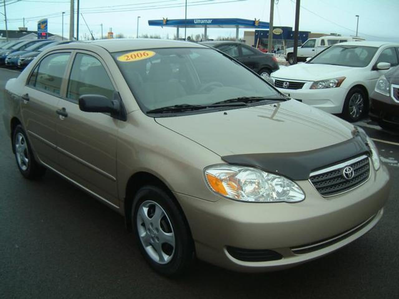 616005.10335784