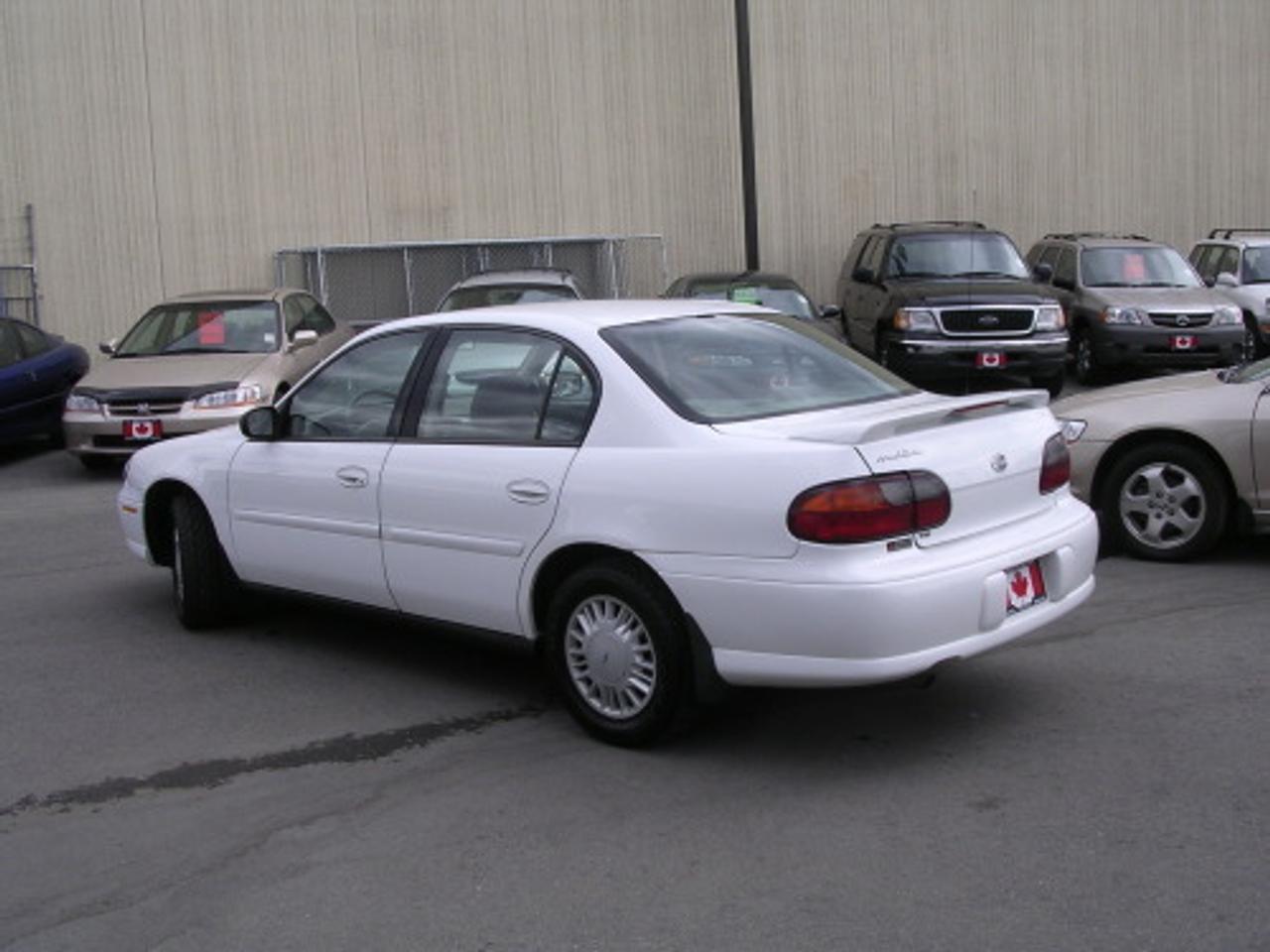 616202.10355828