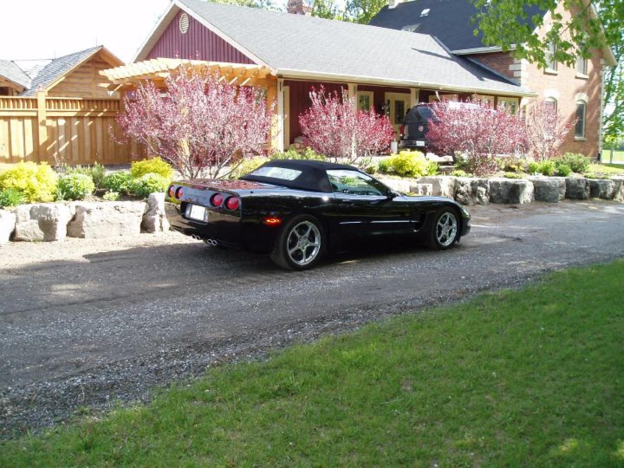 Used 2003 Chevrolet Corvette 50th Anniversary for sale in Sutton West, ON