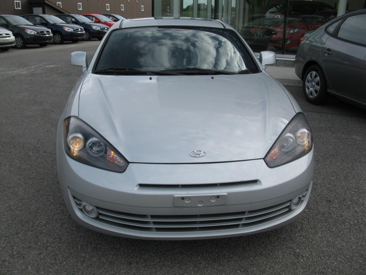 617309.10409831