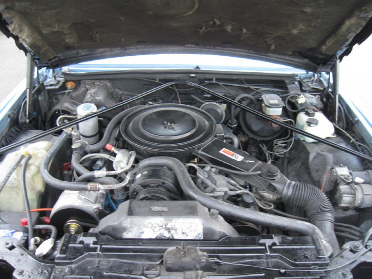 619056