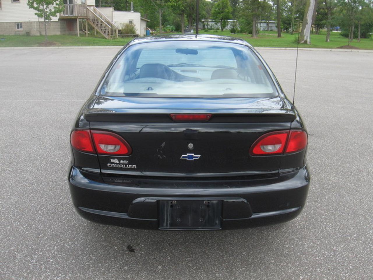 619793.10800558