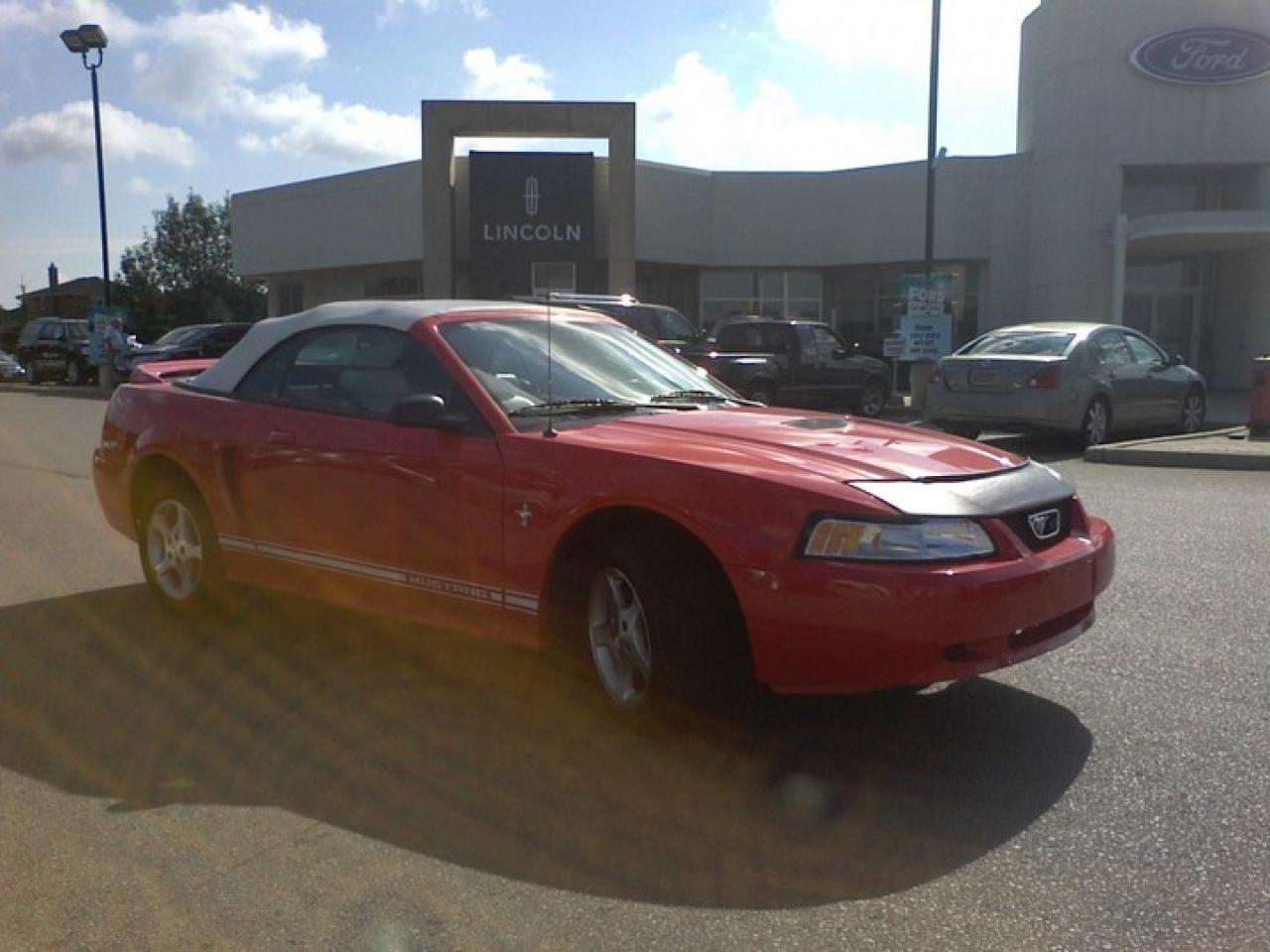 Used 2000 Ford Mustang  for sale in Mississauga, ON