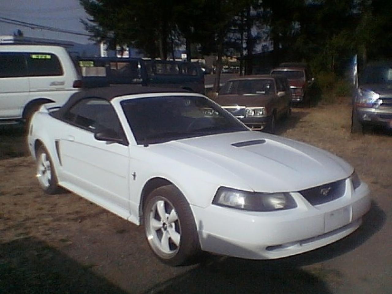Used 2000 Ford Mustang Convertible for sale in Parksville, BC