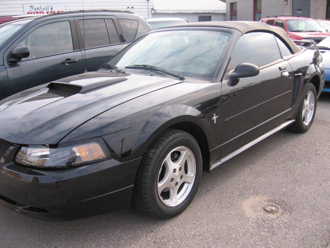 Used 2003 Ford Mustang  for sale in Wingham, ON