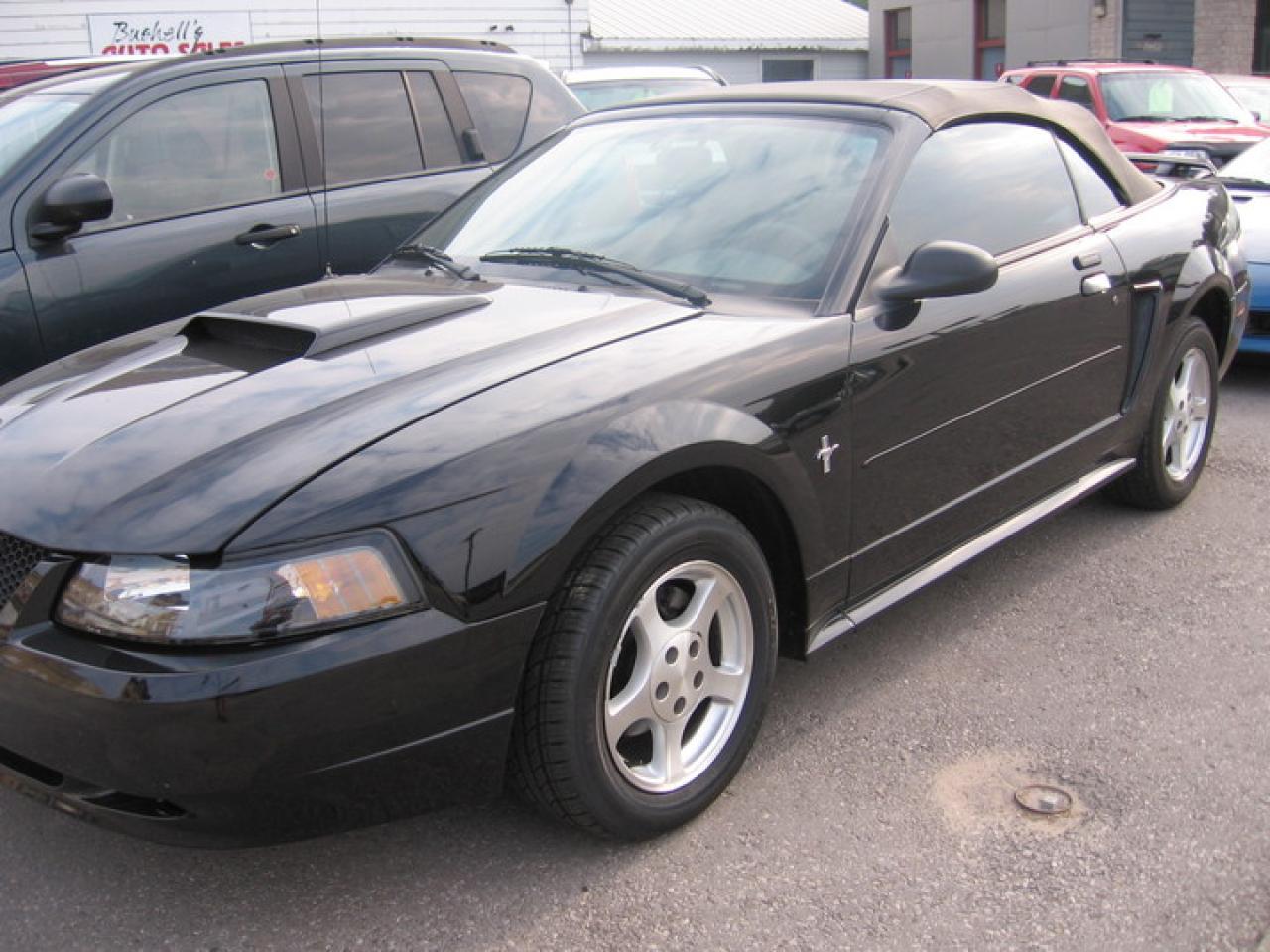 Used 2003 Ford Mustang  for sale in Wingham, ON