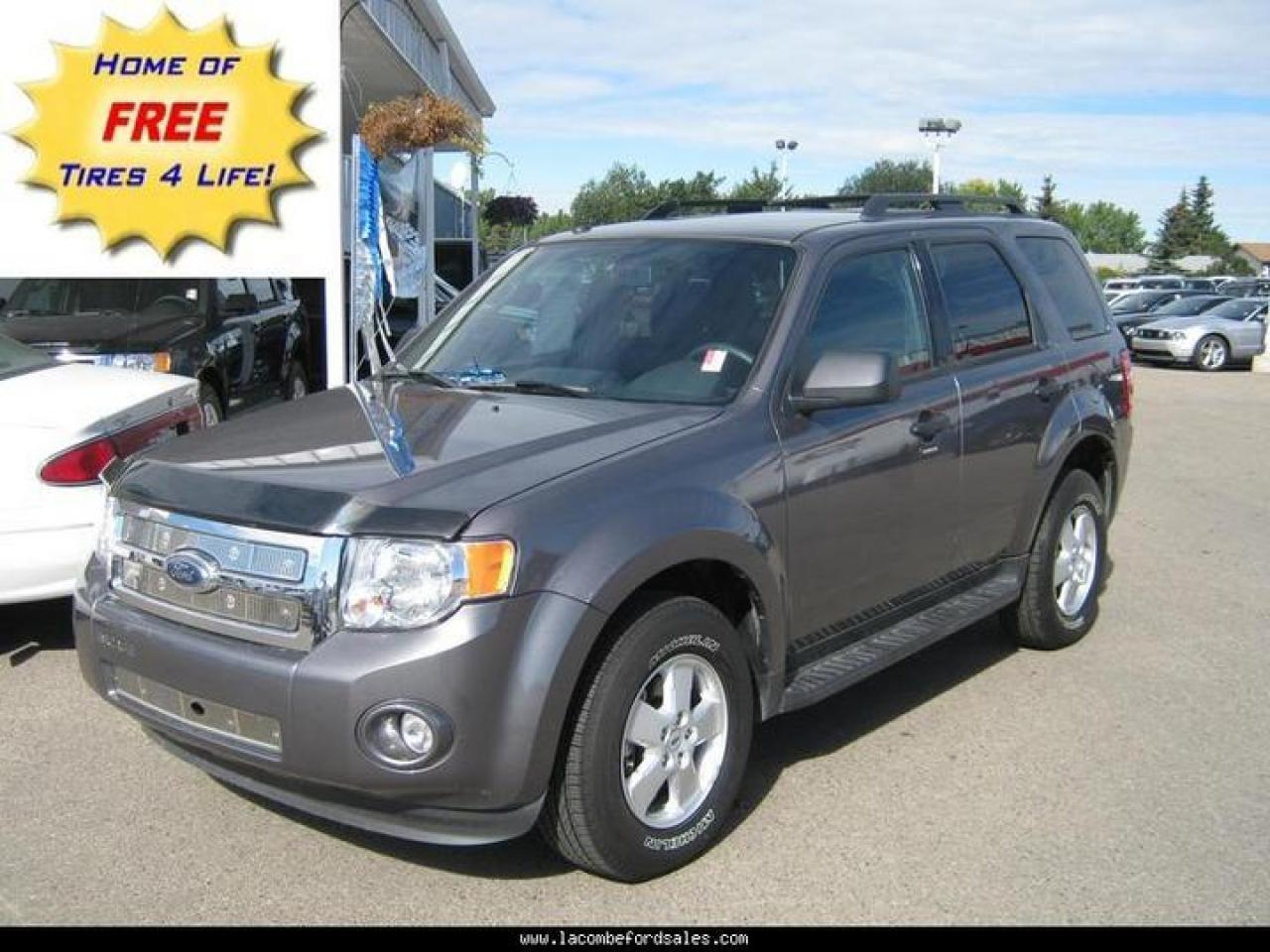 Used 2009 Ford Escape XLT for sale in Lacombe, AB