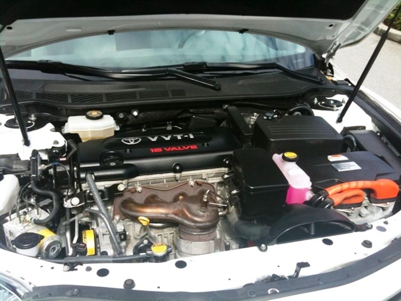 626033