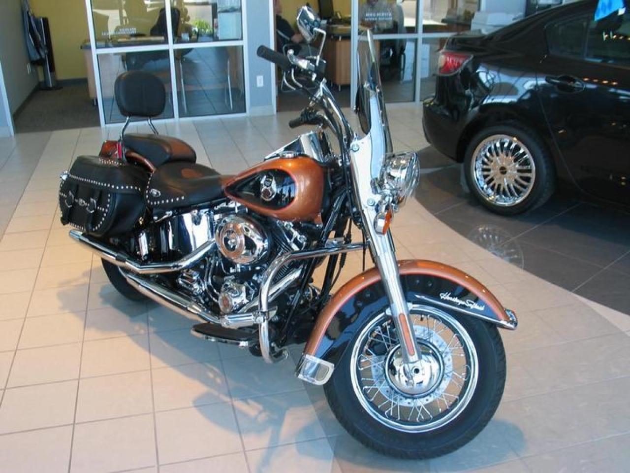 Used 2008 Harley Davidson Softail  for sale in Lethbridge, AB