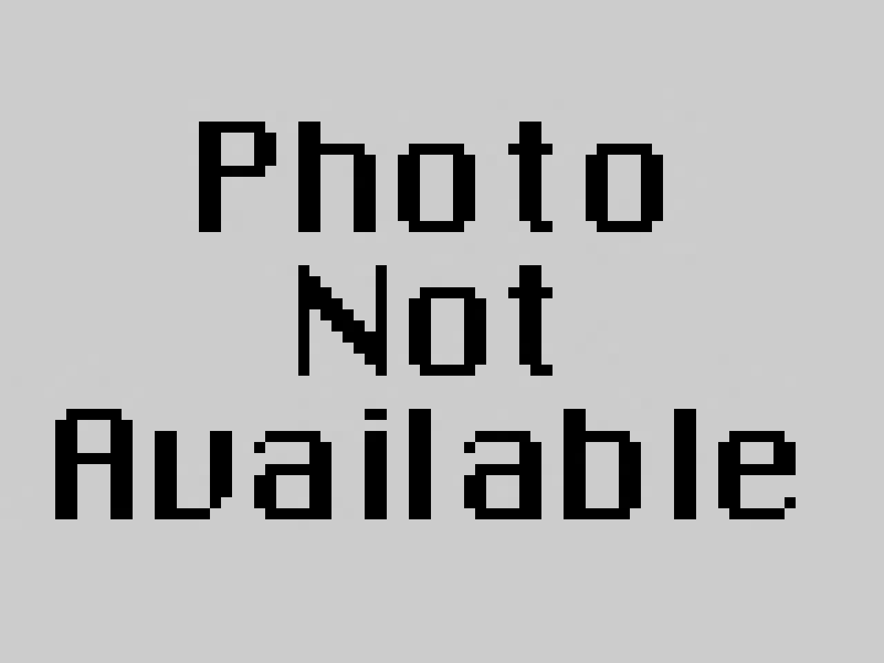 627304