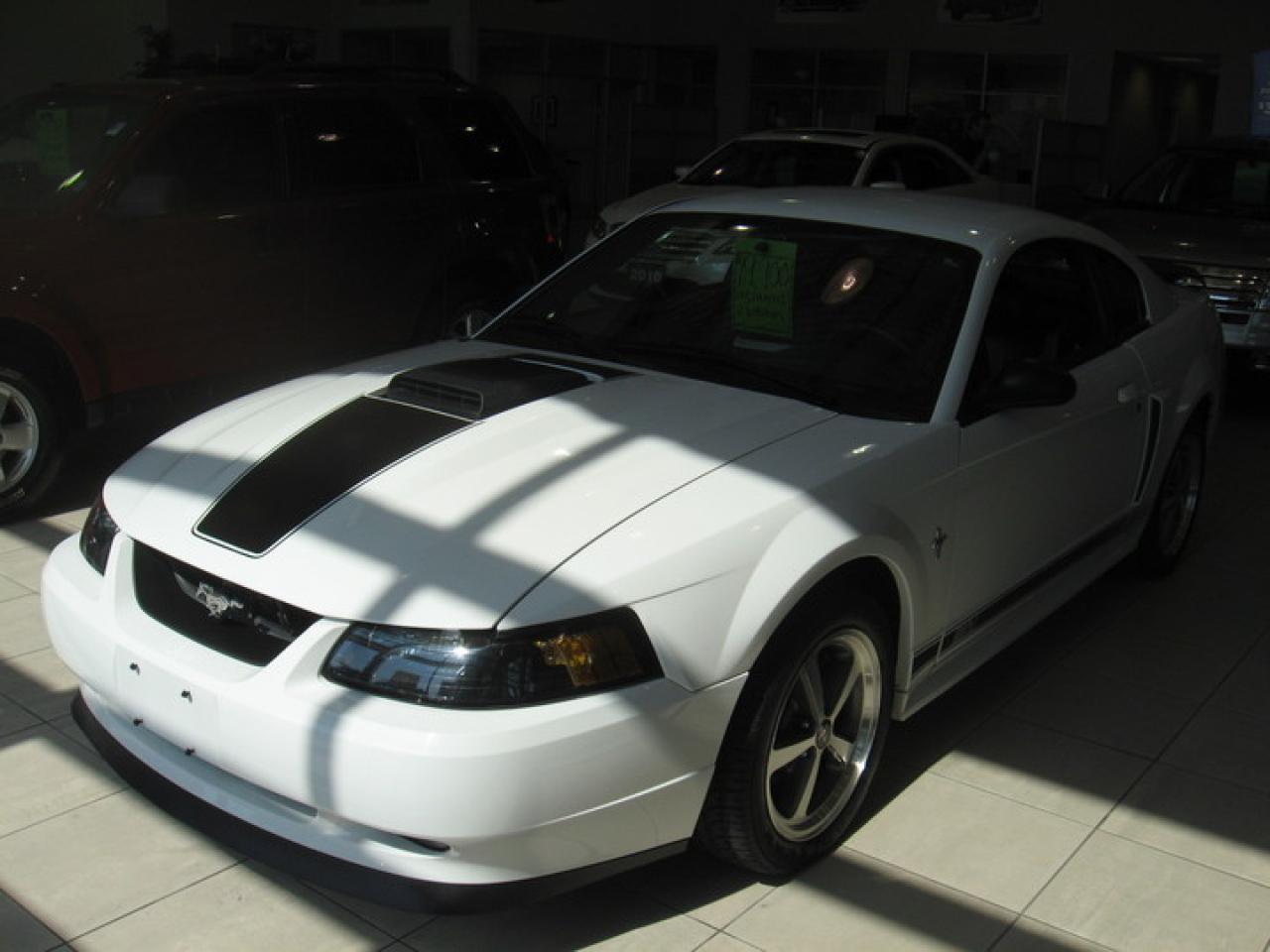 Used 2003 Ford Mustang MACK I for sale in Windsor, ON
