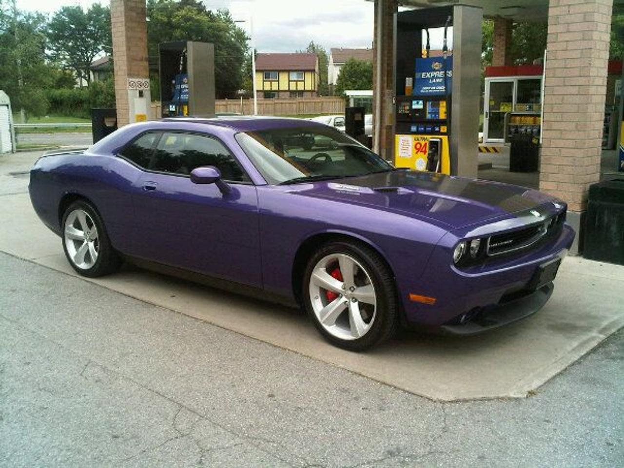 Used 2010 Dodge Challenger SRT8 PLUM CRAZY EDITION for sale in Toronto, ON