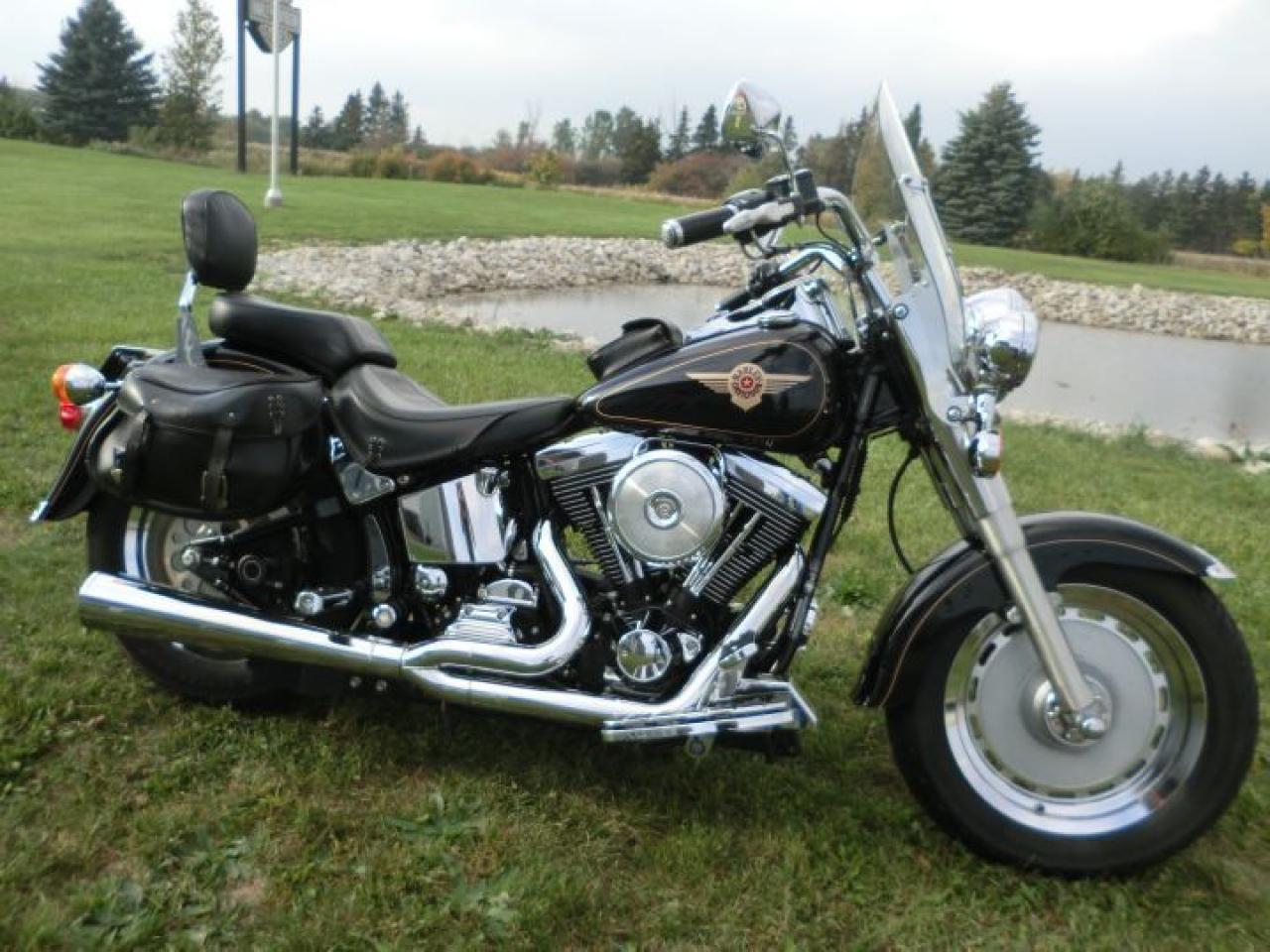 Used 1998 Harley Davidson Fat Boy FLSTF for sale in London, ON