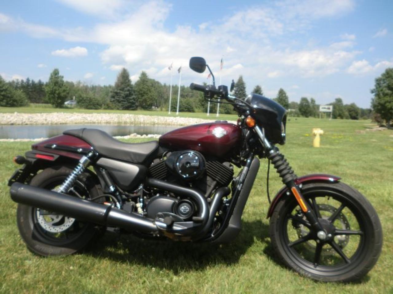 Used 2015 Harley-Davidson Street 500 XG 500 for sale in Blenheim, ON