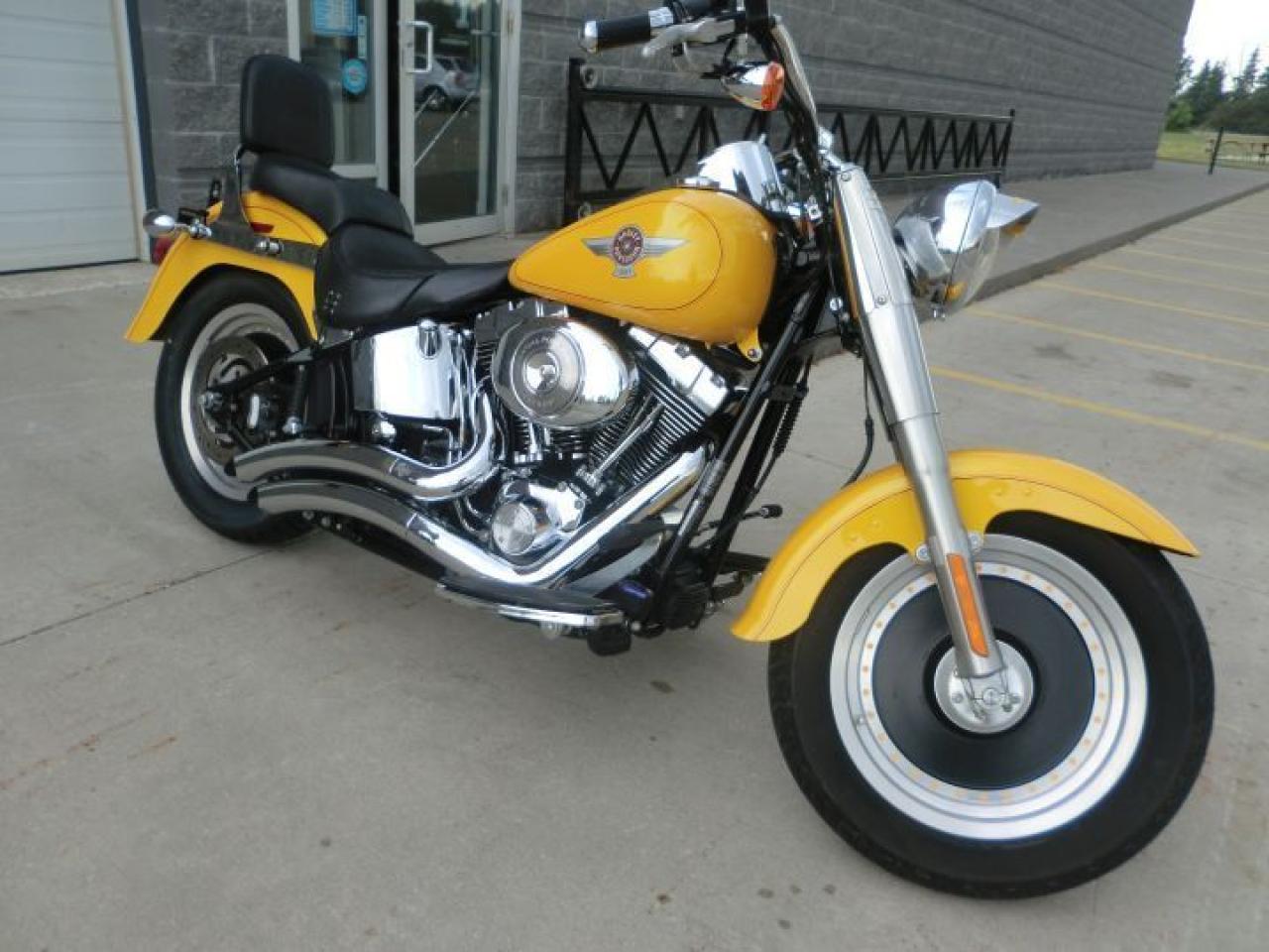 Used 2006 Harley-Davidson Softail FLSTF Fat Boy for sale in Blenheim, ON