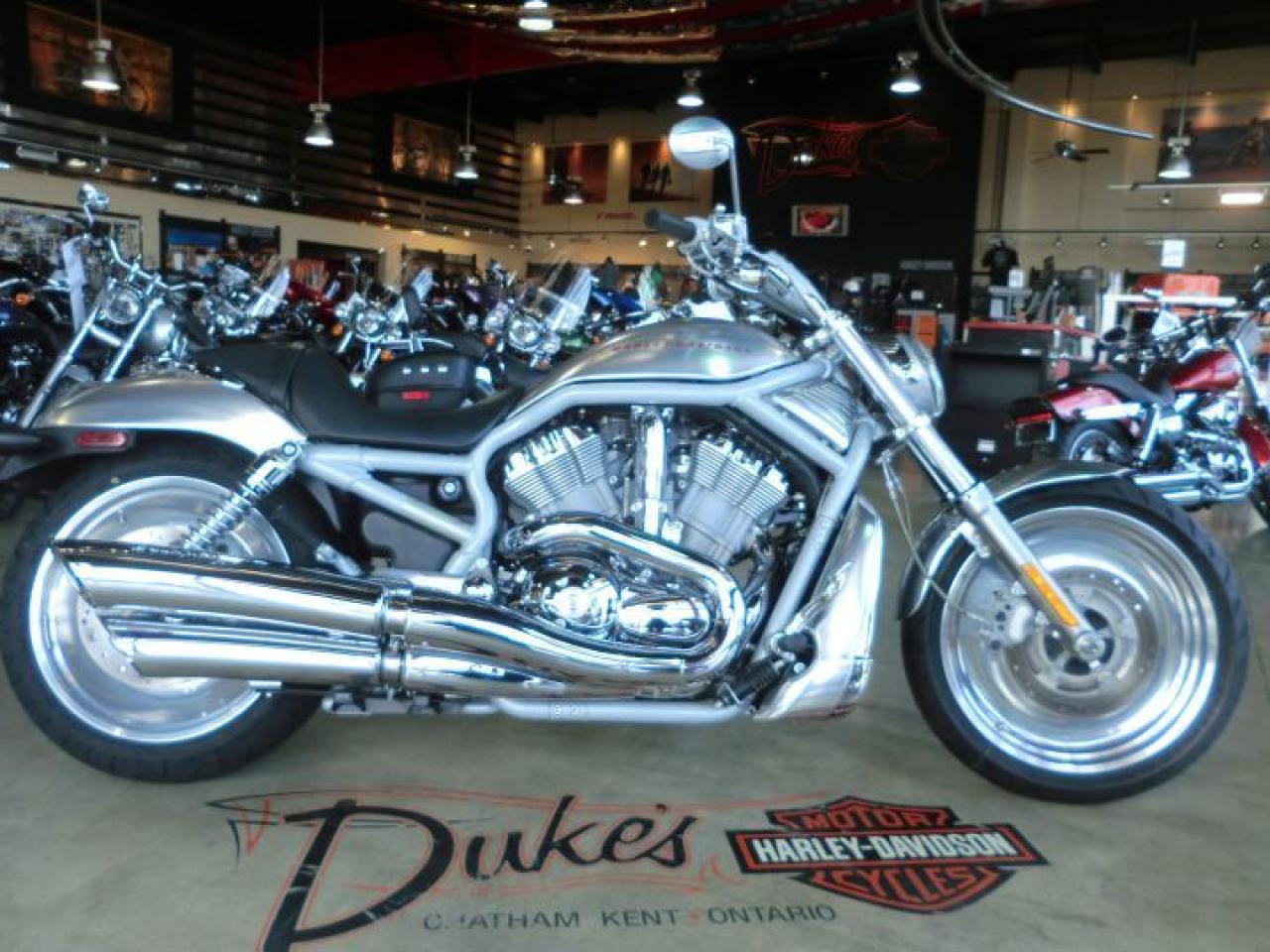 Used 2002 Harley-Davidson V-Rod vrsca for sale in Blenheim, ON