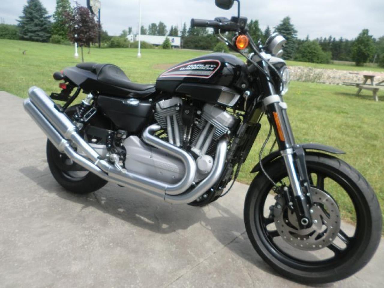 Used 2010 Harley-Davidson Sportster XR 1200 for sale in Blenheim, ON