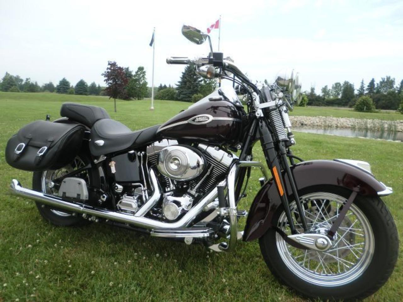 Used 2005 Harley-Davidson Softail FLSTSC SPRINGER CLASSIC for sale in Blenheim, ON