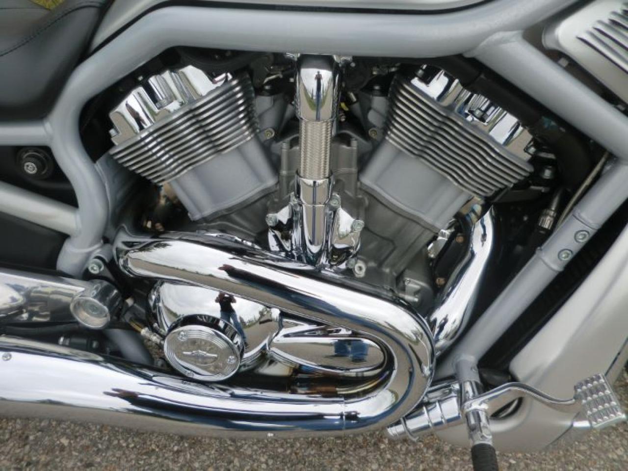 Used 2003 Harley-Davidson V-Rod VRSCA V-Rod Anniversary for sale in Blenheim, ON