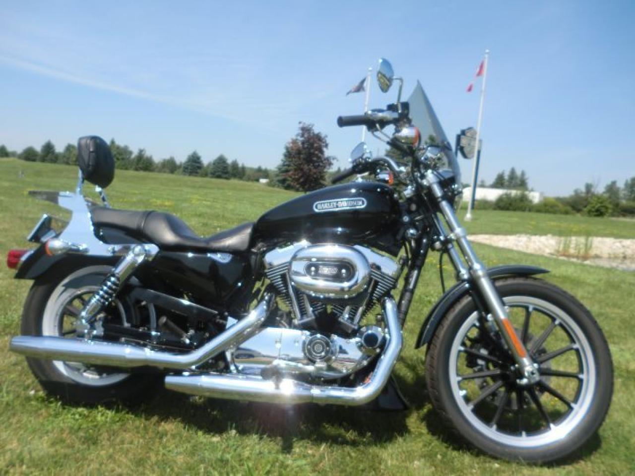 Used 2008 Harley-Davidson Sportster 1200 XL 1200 LOW for sale in Blenheim, ON
