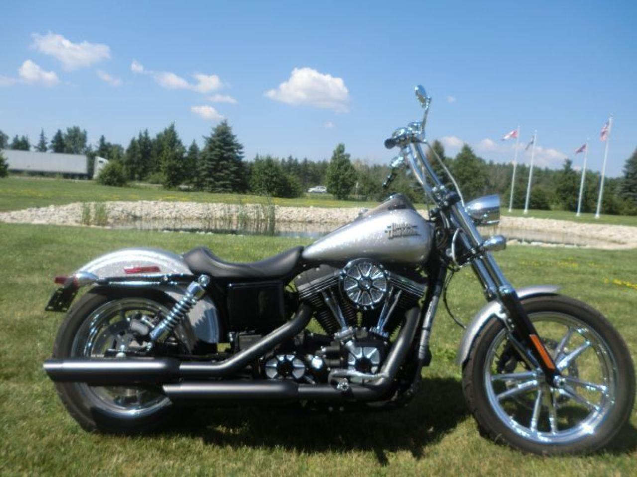 Used 2015 Harley-Davidson Street Bob Dyna Street Bob FXDB 103 for sale in Blenheim, ON