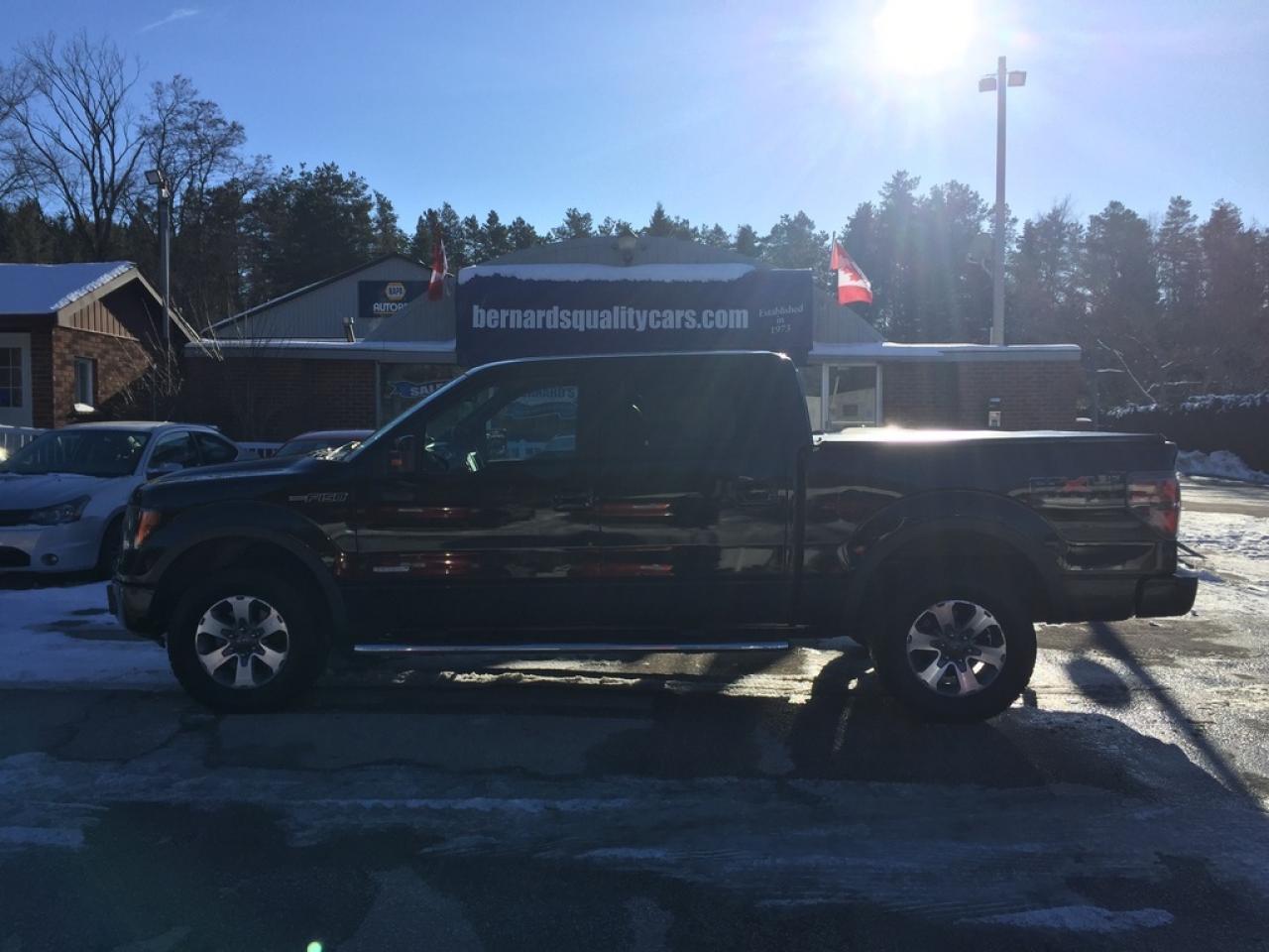 Used 2011 Ford F-150 FX4 for sale in Flesherton, ON