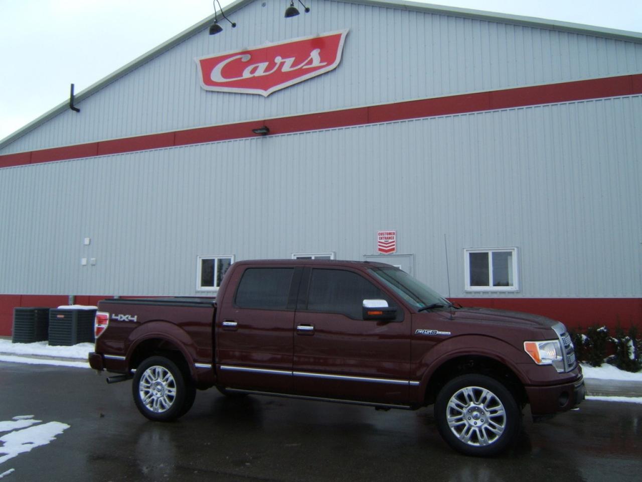 Used 2009 Ford F-150 PLATINUM for sale in Tillsonburg, ON