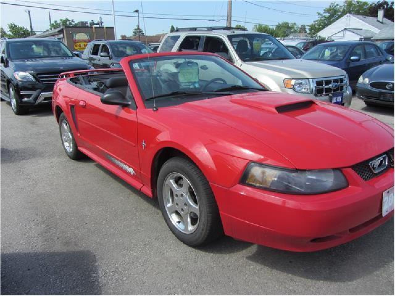Used 2003 Ford Mustang Convertible for sale in Hamilton, ON