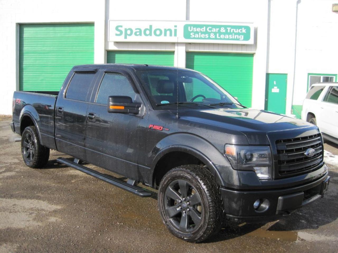 Used 2014 Ford F-150 FX4 for sale in Brampton, ON