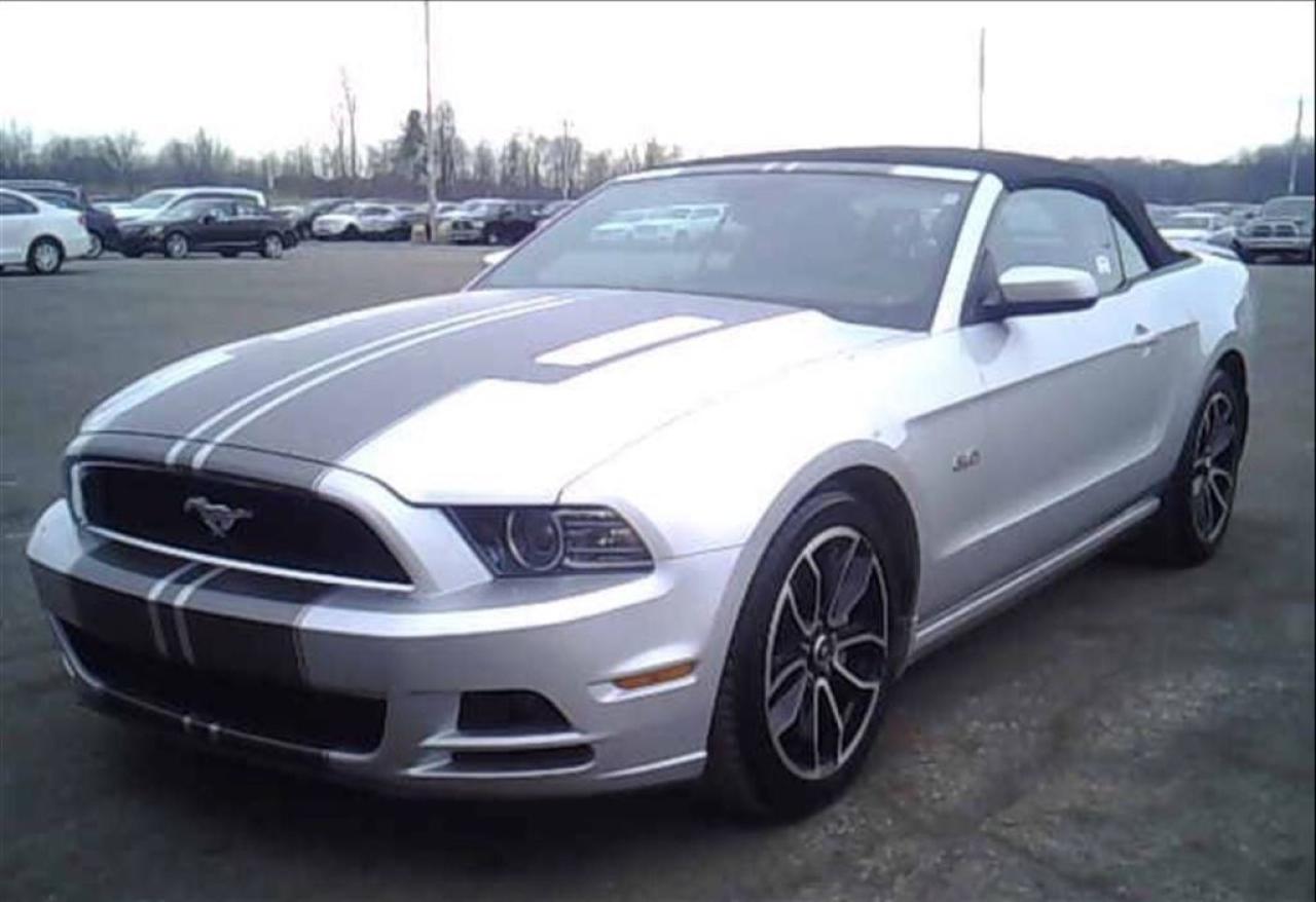 Used 2013 Ford Mustang GT Premium for sale in Paris, ON