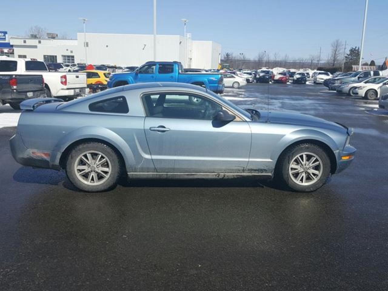 Used 2005 Ford Mustang  for sale in St Catharines, ON