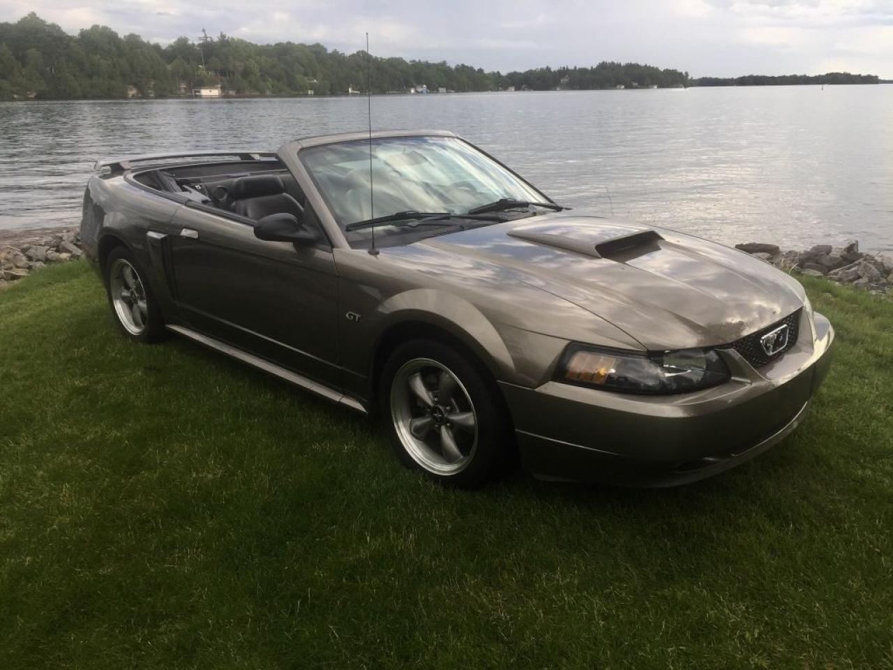 Used 2002 Ford Mustang GT Convertible for sale in Perth, ON