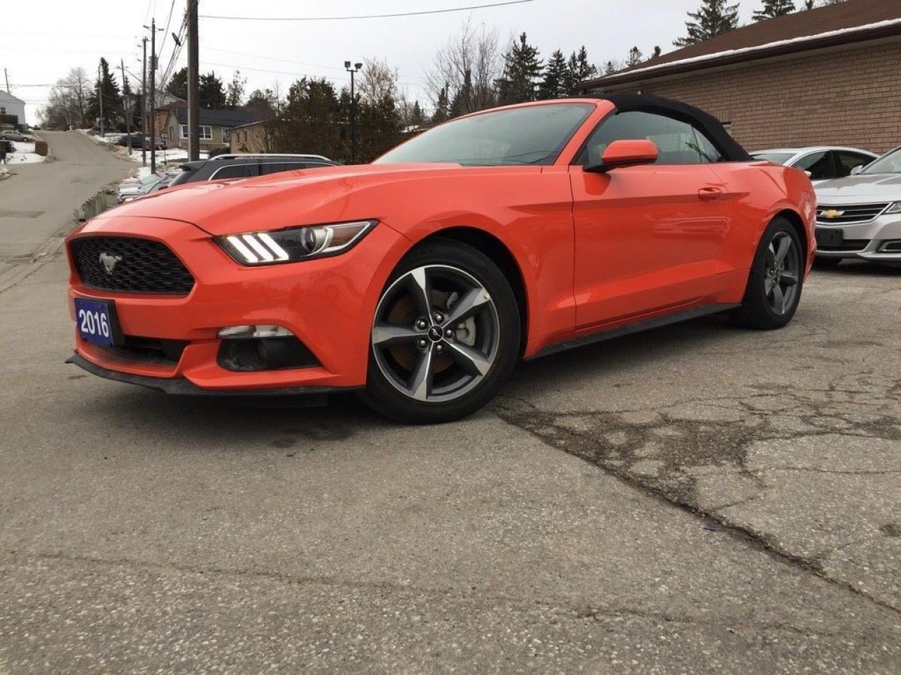 Used 2016 Ford Mustang V6 for sale in St Catharines, ON