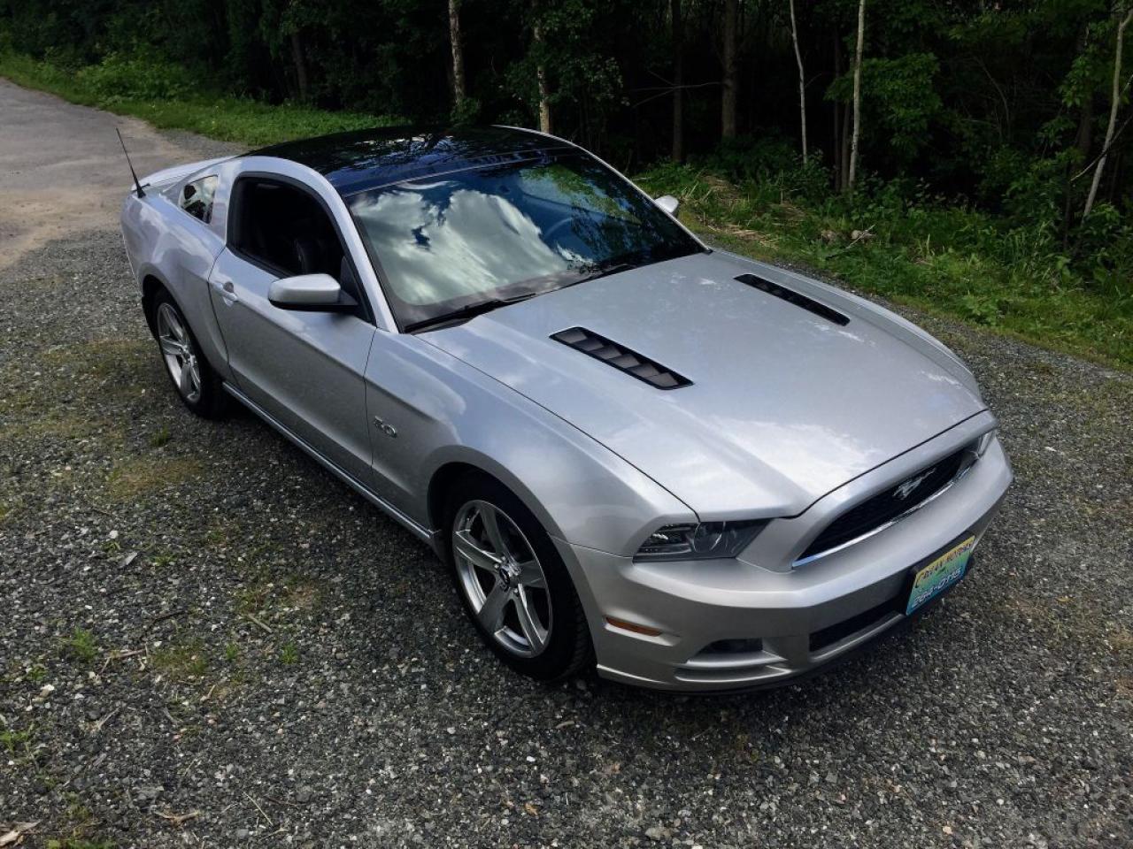 Used 2013 Ford Mustang GT Glass Roof for sale in Perth, ON