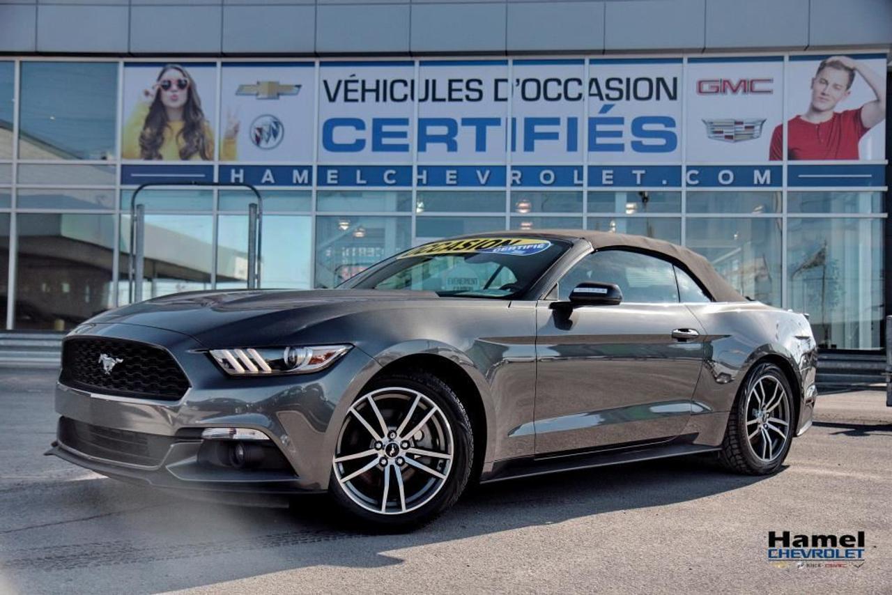 <a href=https://www.hamelchevrolet.ca/occasion/Ford-Mustang-2015.html>https://www.hamelchevrolet.ca/occasion/Ford-Mustang-2015.html</a>

8 ROUES 8 PNEUS, CE VÉHICULE EST COMME NEUF AVEC UN BAS KILOMÈTRAGE ET JAMAIS ACCIDENTÉ,  NOUS FAISONS DES FINANCEMENT SUR PLACE POUR LES 1ERE, 2EME ET 3EME CHANCE AU CREDIT, AUCUN CAS REFUSÉ !  NOUS SOMMES OUVERT LE SAMEDI DE 9H A 17H, HAMEL CHEVROLET: MOINS CHER POINT FINAL !