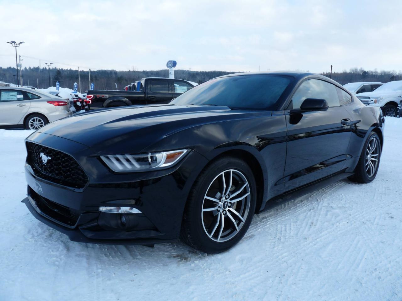 Used 2017 Ford Mustang EcoBoost modèle à toit fuyant 2 portes for sale in Vallée-Jonction, QC